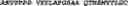 Fig. 207 - Polynucleotide encoding a sclerostin-binding antibody