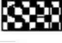 Fig. 31 - Polynucleotide encoding a sclerostin-binding antibody