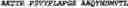 Fig. 33 - Polynucleotide encoding a sclerostin-binding antibody