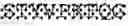 Fig. 338 - Polynucleotide encoding a sclerostin-binding antibody