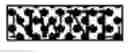 Fig. 62 - Polynucleotide encoding a sclerostin-binding antibody