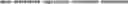 Fig. 67 - Polynucleotide encoding a sclerostin-binding antibody