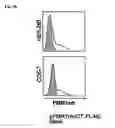 Fig. 08 - Diagnosis and therapy of hematological malignancies