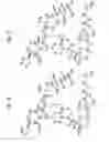 Fig. 08 - MACROCYCLIC LACTONE COMPOUNDS AND METHODS FOR THEIR USE