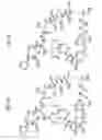 Fig. 09 - MACROCYCLIC LACTONE COMPOUNDS AND METHODS FOR THEIR USE