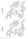 Fig. 28 - MACROCYCLIC LACTONE COMPOUNDS AND METHODS FOR THEIR USE