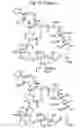 Fig. 44 - MACROCYCLIC LACTONE COMPOUNDS AND METHODS FOR THEIR USE