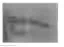 Fig. 01 - Goniochromatic/light reflective cosmetic makeup compositions