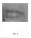Fig. 03 - Goniochromatic/light reflective cosmetic makeup compositions