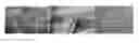 Fig. 01 - MONOLITHIC IN-SITU CROSS-LINKED ALGINATE IMPLANTS