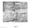 Fig. 04 - MONOLITHIC IN-SITU CROSS-LINKED ALGINATE IMPLANTS