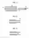 Fig. 06 - Methods and devices for correcting spinal deformity with pharmaceutical-eluting pedicle screws