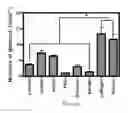 Fig. 08 - Renal tissue regeneration