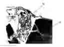 Fig. 01 - Conformable tissue repair implant capable of injection delivery