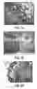 Fig. 05 - Delivery System for Drug and Cell Therapy