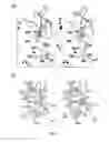 Fig. 08 - Methods of expressing proteins with disulfide bridges