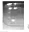 Fig. 13 - Break resistant gel capsule