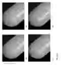 Fig. 19 - Break resistant gel capsule