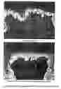 Fig. 01 - Use of vernonia extract