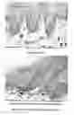 Fig. 02 - Use of vernonia extract