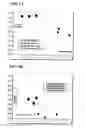 Fig. 02 - Composition comprising corn flour and saccharification enzymes