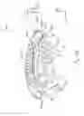 Fig. 57 - FLUID DISTRIBUTION MANIFOLD INCLUDING COMPLIANT PLATES