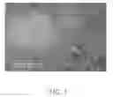 Fig. 02 - Carbon nanotube composite, method for making the same, and electrochemical capacitor using the same