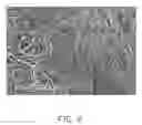 Fig. 03 - Carbon nanotube composite, method for making the same, and electrochemical capacitor using the same