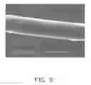 Fig. 06 - Carbon nanotube composite, method for making the same, and electrochemical capacitor using the same