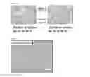 Fig. 04 - Superhydrophobic polymer fabrication