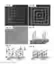 Fig. 04 - BIOLOGICAL CONTROL OF NANOPARTICLE NUCLEATION, SHAPE AND CRYSTAL PHASE