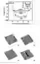 Fig. 01 - WEAR AND CORROSION RESISTANT ZEOLITE COATING