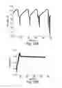 Fig. 32 - SMALL-SCALE BATTERIES AND ELECTRODES FOR USE THEREOF