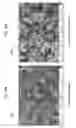 Fig. 17 - Nucleation and growth of tin particles into three dimensional composite active anode for lithium high capacity energy storage device