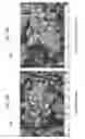 Fig. 18 - Nucleation and growth of tin particles into three dimensional composite active anode for lithium high capacity energy storage device