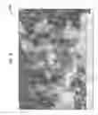 Fig. 19 - Nucleation and growth of tin particles into three dimensional composite active anode for lithium high capacity energy storage device