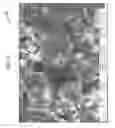 Fig. 20 - Nucleation and growth of tin particles into three dimensional composite active anode for lithium high capacity energy storage device
