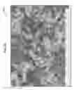 Fig. 21 - Nucleation and growth of tin particles into three dimensional composite active anode for lithium high capacity energy storage device