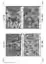 Fig. 22 - Nucleation and growth of tin particles into three dimensional composite active anode for lithium high capacity energy storage device