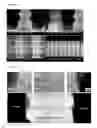 Fig. 08 - Organic/inorganic composite comprising three-dimensional carbon nanotube networks, method for preparing the organic/inorganic composite and electronic device using the organic/inorganic composite