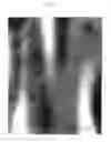 Fig. 06 - Polymer electrolyte membrane having high durability and method for producing the same
