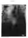 Fig. 07 - Polymer electrolyte membrane having high durability and method for producing the same