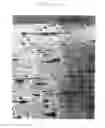 Fig. 08 - Polymer electrolyte membrane having high durability and method for producing the same