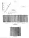 Fig. 06 - Negative tone molecular glass resists and methods of making and using same
