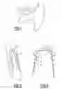 Fig. 02 - Method for producing a customized orthodontic device