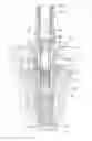Fig. 01 - IMPLANT FOR FIXING DENTAL PROSTHESES