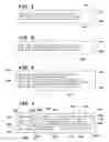 Fig. 02 - Aligning chunk translations for language learners