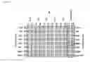 Fig. 07 - Surface-assisted hemagglutination and hemagglutination inhibition assays