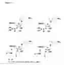Fig. 04 - RNAi Agents Comprising Universal Nucleobases
