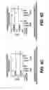 Fig. 09 - Compositions and methods for pharmacogenomic screening of CYP2C9 and VKORC1